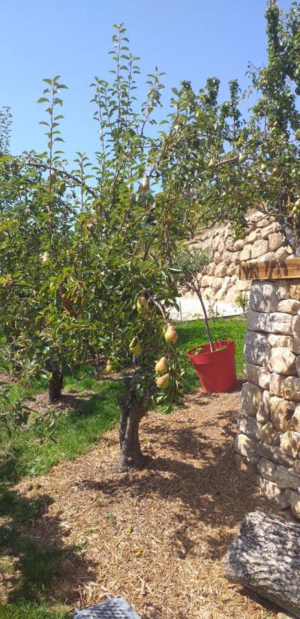 Gites De L'Alouette Boffres Ngoại thất bức ảnh